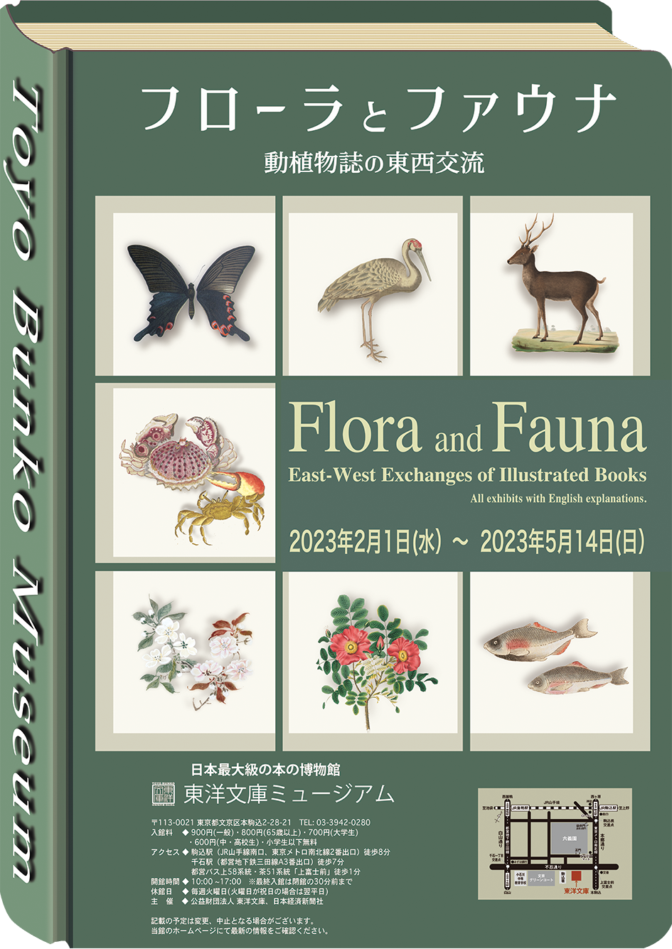 フローラとファウナ　動植物誌の東西交流